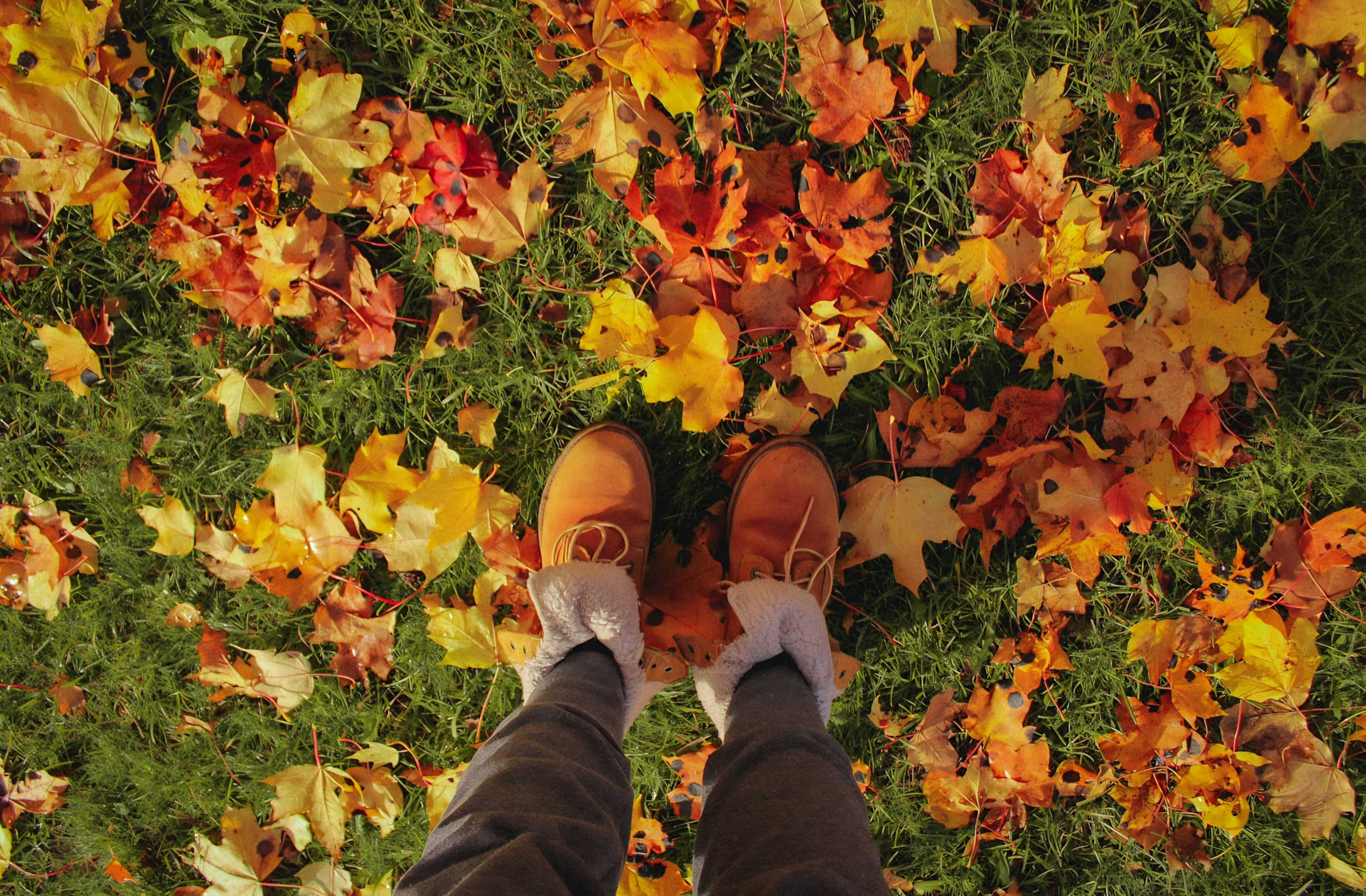 جدیدترین ترندهای لباس و استایل پاییز ۱۴۰۴